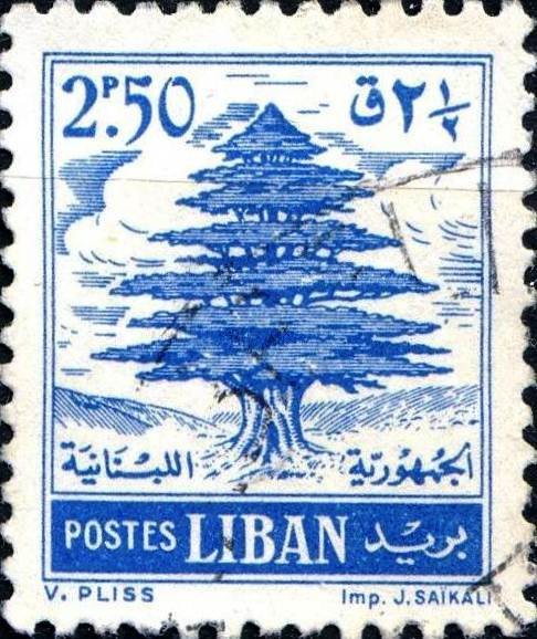 Stamp