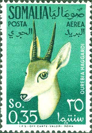 Stamp
